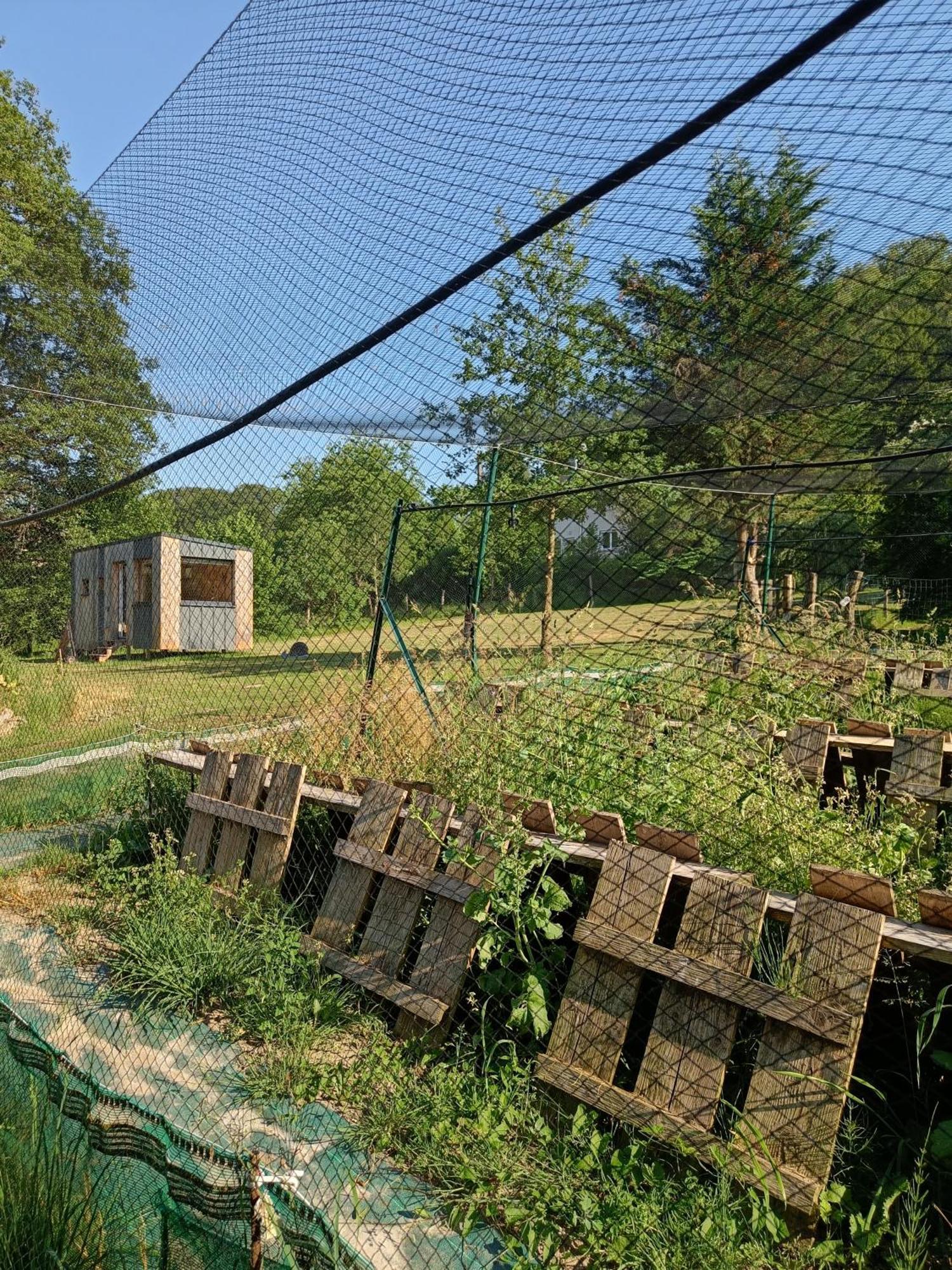 L'Escargoterie De La Forge - Immersion Champetre Uzemain Exteriér fotografie