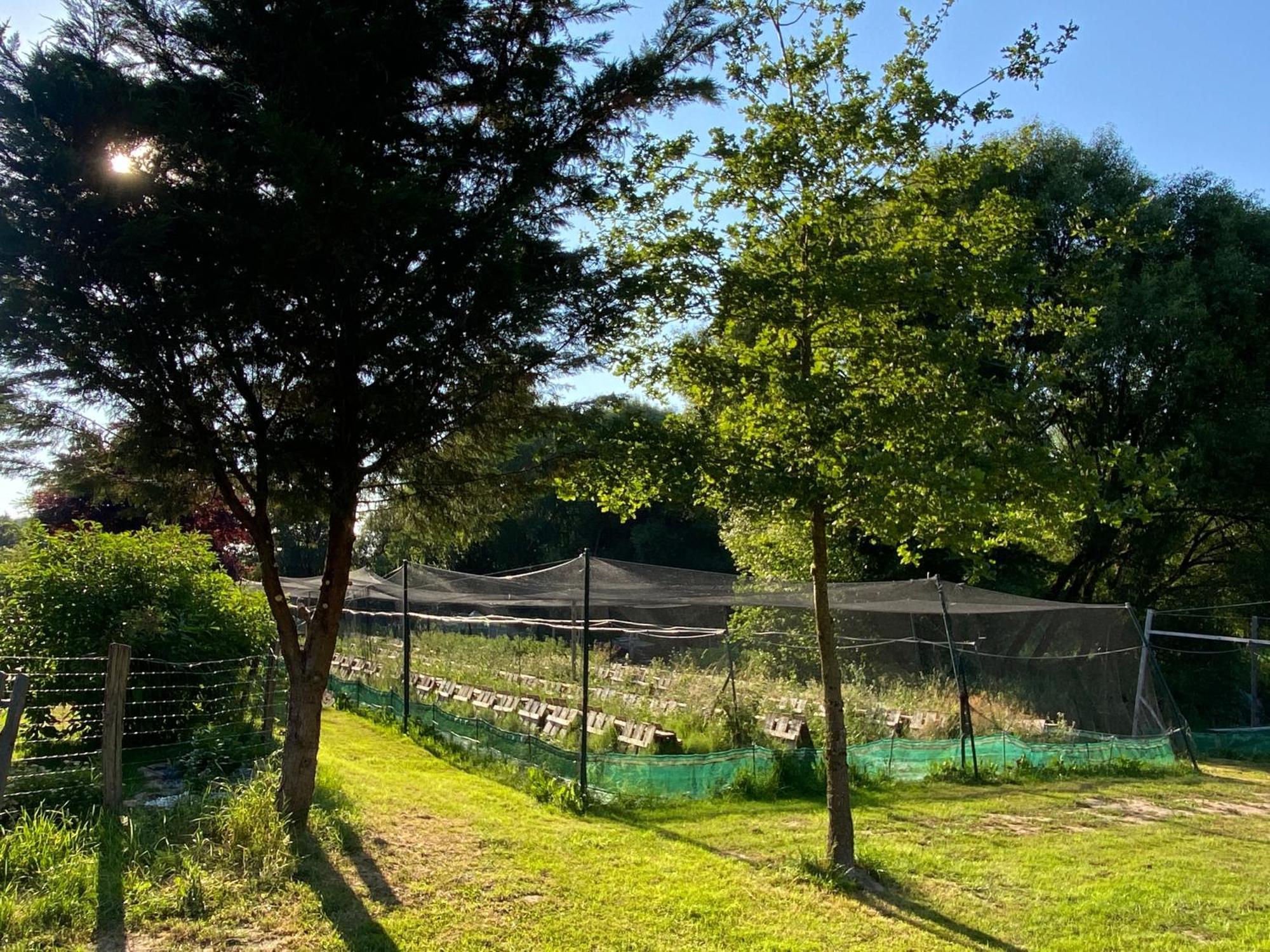 L'Escargoterie De La Forge - Immersion Champetre Uzemain Exteriér fotografie